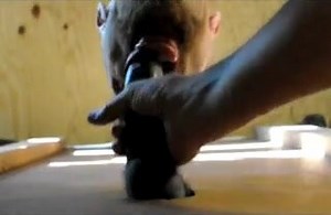 Glory Hole Compilation - video 2