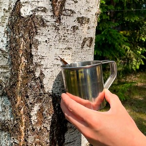 173K views · 499 reactions | Compilation with awesome camping hacks | 5-Minute Crafts | Facebook