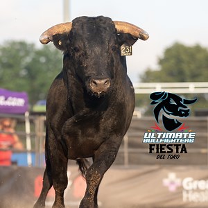 Join us Sundays at 1:30pm starting October 15th as Ultimate Bullfighters presents Fiesta Del Toro. Experience the adrenaline filled American freestyle bullfighting along with dazzling performances by folklorico dancers, soul-stirring melodies from mariachis, and so much more! Celebrate Hispanic Heritage Month at this spectacular show that the whole family will cherish! Don't miss out on this thrilling experience that'll keep you on the edge of your seat! Purchase your tickets in advance at cowto