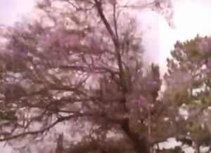 Walking and stretching with Angela! 🚶‍♀️🙆‍♀️ From "Angela Lansbury's Positive Moves" (1988) | Minerva Vazquez