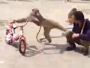 ye kon h Tag kr k iski shnakht krwain 😂 For more videos Like our page and share :) | Pranks Videos