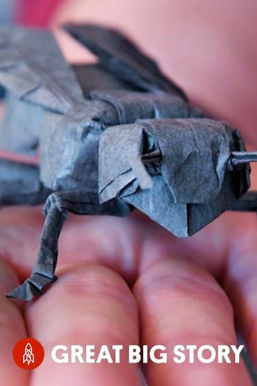 Robert Lang, dominando a arte do origami matemático