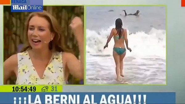 Chilean reporter's bikini top falls off during live broadcast