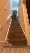 Man attempts to slide down stairs in basket and falls