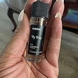 Scentia Dream Walk Aromatherapy Oil for Diffuser – Hotel Scent Inspired by 5-Star Spa Resort – 20 mL – White Tea, Cedarwood & Amber Natural Fragrance Oil for Waterless & Cold Air Diffusers