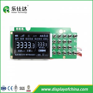 [Hot Item] Factory Price Custom Va Positive LCD Screen Segment LCM for Infusion Machine