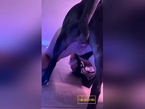 sonya animal sex wild