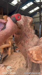 For those of you who prefer a slower pace than a Timelapse, this is the video of the Border Collie sculpture. If you were getting a pet portrait sculpture who would it be? Drop a photo in the comments. #chainsawcarving #sculpture #bordercollie #dogs #stihlGB | Simon O'Rourke - Tree Carving