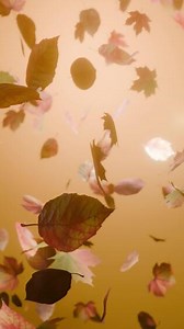 Download Bright Autumn Leaves Falling, Soft Light and Warm Atmosphere, vertical, seamless loop for free
