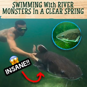 37K views · 1.5K reactions | Bagoi, The Baby Owl That Talks A Lot | Blake's Exotic Animal Ranch | Facebook