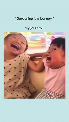 How’s your gardening journey going? 👩🏻‍🌾🌱 #gardeninglife #gardenersofig #gardeninglove #gardeninspo #gardentherapy #organicgardening #zone7gardening #zone7bgarden #gardeningismytherapy | Grace Walk Farm