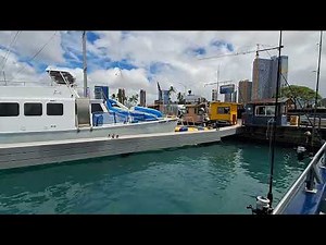 Deep Sea Fishing in Waikiki, Hawaii