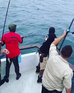 #Repost @pursuit_sportfishing ・・・ Still biting…..plenty of room after the weekend. | 22nd Street Landing Sportfishing