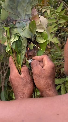 18 reactions | Amazing Brave man hunting honey  bee in the forest  | Primitive Unique Tool | Facebook