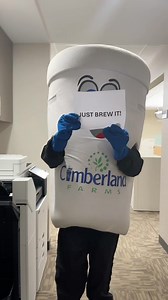 8.2K views · 64 reactions | What should Brewtus do first as THE Chief Coffee Officer??? #cumberlandfarms #cumbys #brewtus | Cumberland Farms | Facebook
