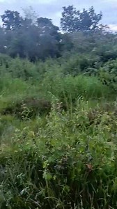 1.4K views · 170 reactions | Bobbytv143 on Reels | Facebook