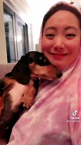 14K views · 179 reactions | ❤️Kiss your dog on the head and record their reaction.. Beautiful challenge, pure love ❤️  @dogvsdogg #whataboutusmusic #tuesdaymotivation #challenge #animallovers #dogslife #tiktok #bekindtoanimals | Thebridge.music | Facebook