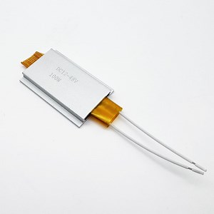 [Hot Item] 48V 100W PTC Heating Element Heater for Foot Bath Basin Shoes Dryer Rice Cooker Hand Warmer