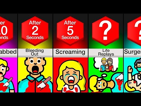 Timeline: What Happens When You Get Stabbed?