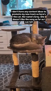 She also answers to Greg, Gregor, Cricor, Creek, Creaky and Craig. | Doctor Werewolf