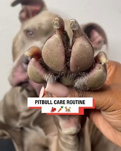 1.6M views · 22K reactions | Love this care routine  | LADbible Australia | Facebook