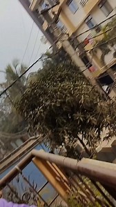 27K views · 2K reactions | Mujhe leke chalo na 殺 #fecbookreelsviral #feelkaroreelkaro #reeliteelit #foryoupageシ #trendingvideo #explore | cutepriyapari | Facebook