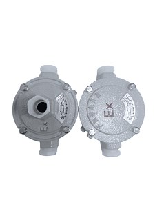 [Hot Item] Explosion-Proof Junction Box for Construction Sites Explosion Proof Terminal Box