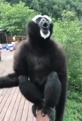 When you wash your balls with mint shower gel 😝 | Santa Banta Feed