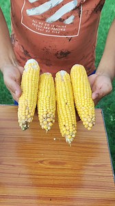 5K views · 59 reactions | Crispy Corn Recipe | Vicky Singh | Facebook