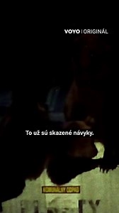 13K views · 18 reactions | Blízkosť človeka  nie je medveďovi prirodzená  No napriek tomu, sa k nám v poslednej dobe približuje  Otázku toho čím je to spôsobené rozoberá podrobne Voyo Originál Lebo Medveď, ktorý si môžete pozrieť exkluzívne na Voyo  bit.ly/VoyoLeboMedved #lebomedved #voyooriginal #voyo #sleduj | Televízia Markíza | Facebook