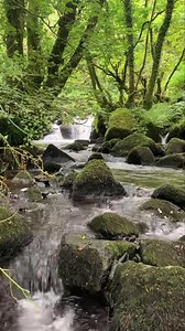 Peter Tavy Coombe yesterday, Dartmoor, Devon. | Rachel Burch Westcountry Photography
