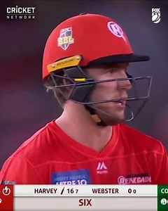 Mackenzie Harvey = Beast Mode Activated. | Melbourne Renegades