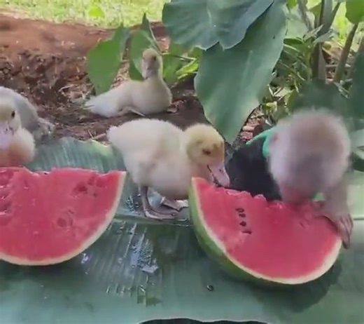 Happy Saturday!! | ADI Automotive Dealership Institute