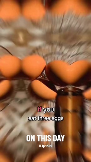 What Happens If You Eat 3 Eggs Daily? Health Benefits Explained