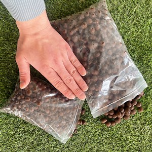 [Hot Item] Different Size Hydroponic Expanded Clay Pebbles for Plant Growing