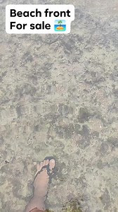 ✅ Beach front property for sale ✅₱370 per sqm ✅Lot size: 4 hectares ✅ Calauag Quezon province ✅ Electricity ✅ Source of water ✅Pasok ang four wheels ✅ Matured cloa Note: pwede e cut sa 2hectares with front beach both - kasama lahat with 2 story building and nipa house and half body concrete house | Melvin Ambas