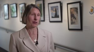 Boulder art exhibit showcases guaranteed income program