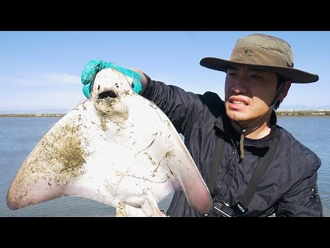 KungFu hustle, Catch and Cook Bat Ray aka Stingray!!