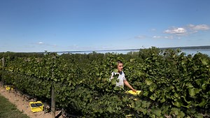 Finger Lakes wineries offer beautiful vistas for leaf peepers