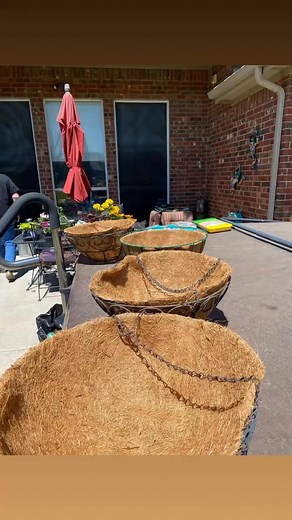 #hangingbaskets #patioliving #Floweringplants #springtimefun #BackyardBliss | Paula Dodd Barnes
