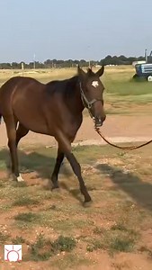 6.9K views · 18 reactions | Javier Alvarez on Reels | Facebook