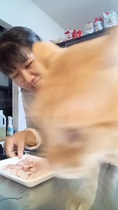 "Some days are tiring,but cooking and eating with TORA😺makes everything calm again.TORA doesn't talk,but his presence is enough.Simple Moments like this mean a lot.😽🐾"🇯🇵🇵🇭 #acohonlaurojeffry #catlovers #catsarefamily #fblifestyles #catslife #viralcats | Ito Panilag Jeanyvie