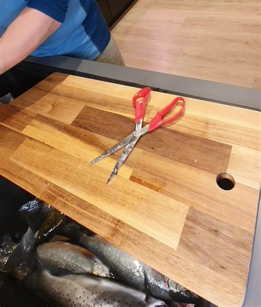 Koffer klepp du fesken? Kommer garantert noen som kan ting bedre, Men vi kjøre på! Smårøye bruker vi gjerne saksa kontra kniv! Det funker for vår del fjell🤩 Ka bruke dokker? Saks eller kniv ? Dont mind the kid in the background😂 #fishingaddict #fishingdaily #fishingtime #fisking #fiskelykke #fishing #char #røye #trout #troutfishing #fisketur | Fiske i Nord-Norge