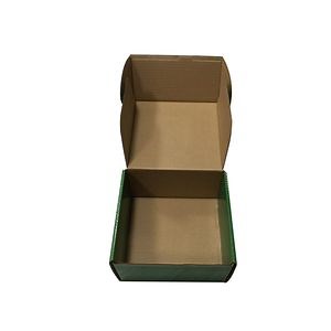 [Hot Item] Postage Mailing Shipping Carton Packaging Box