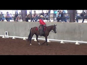 WDAA Basic Level, test 4 - 80.800%