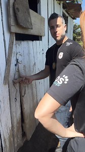 7.7K views · 535 reactions | Mais um cenário de horrores chega ao...