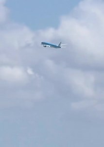 #Compressor #stall 😱 of #Bird #Strike | koraalspechtcity