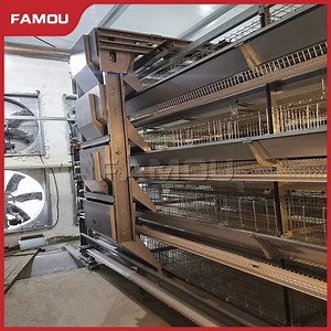 [Hot Item] Famou Poultry Farm Equipment Automatic Identification H Type Poultry Cage Feeding Systems