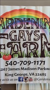 1.7K views · 47 reactions | King George County, Virginia Fall Festival 2022 | Gardening Gays | Facebook