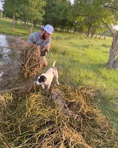Dirty jobs - it’s all worth it | Shirtless Jake's Homestead